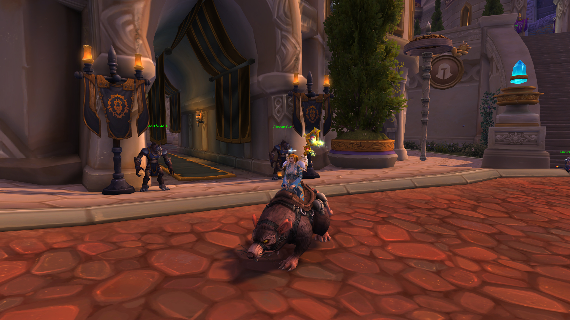 Ratstallion Ratstallion